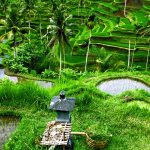 endroits à visiter à Bali