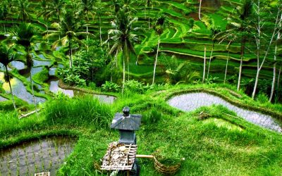 Quels sont les meilleurs endroits à visiter à Bali ?