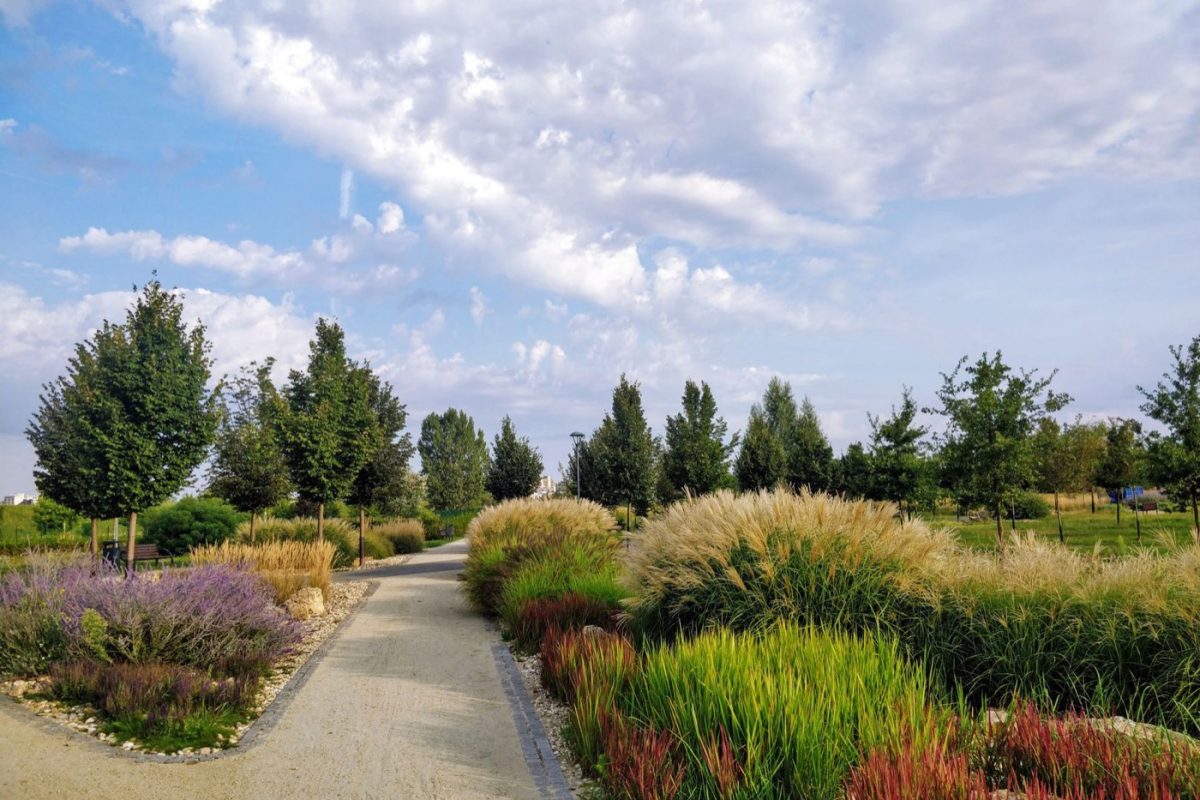 Aménagement de jardin durable pour la biodiversité