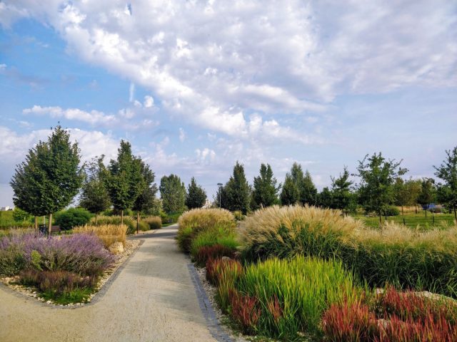 Aménagement de jardin durable pour la biodiversité