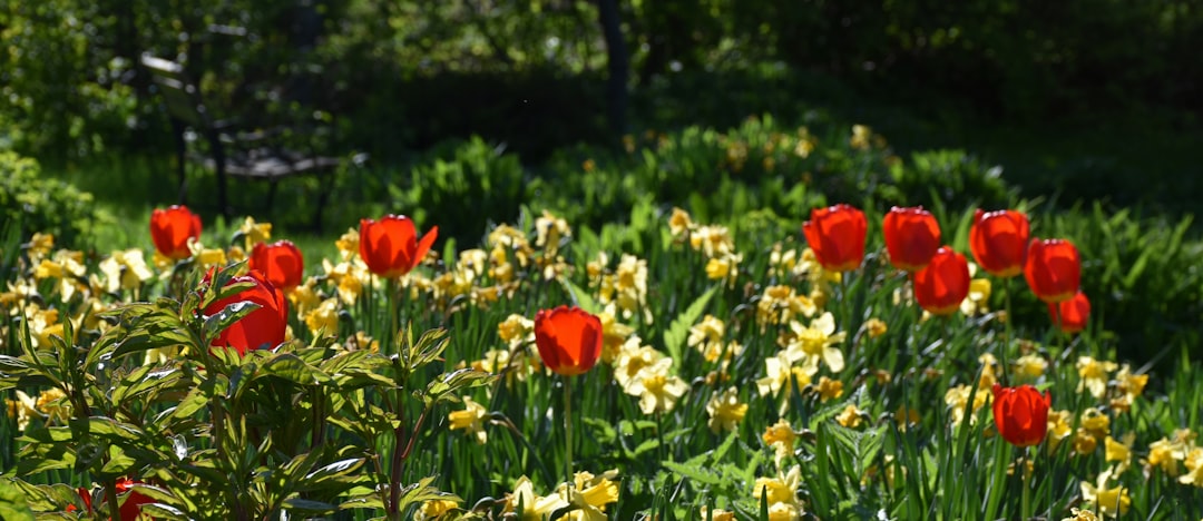 Aménagement de jardin durable pour la biodiversité