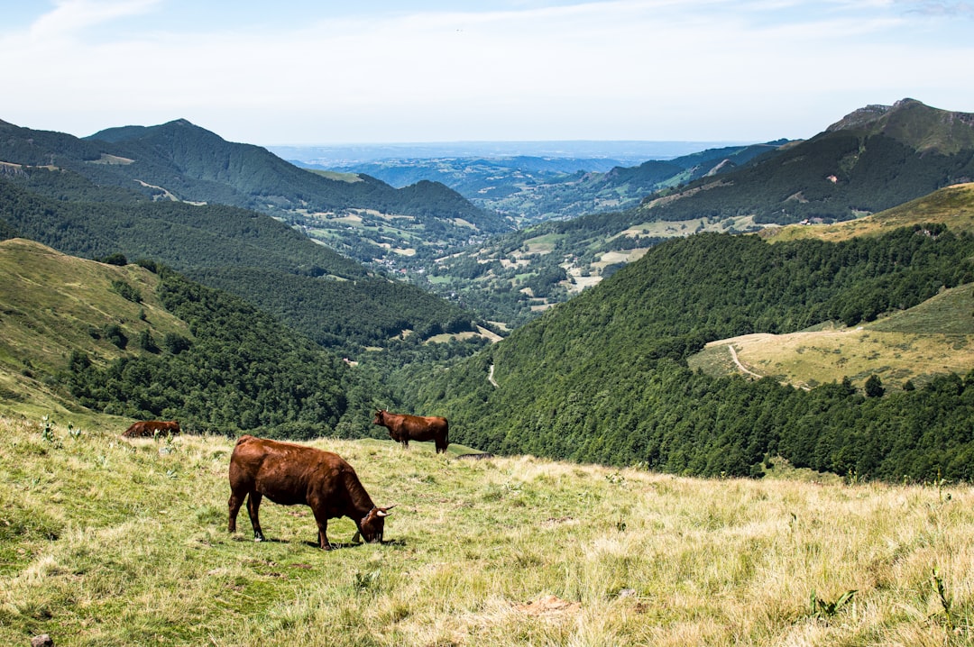 Bivouac responsable : respecter la nature et la réglementation