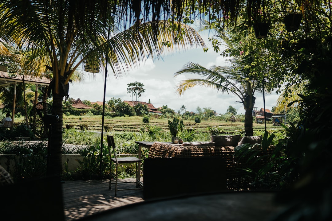 Cuisine et terroirs de Bali : guide pour voyageurs
