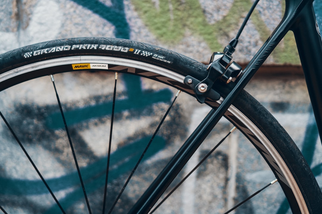 Mavic ou Giant pour un vélo électrique de ville