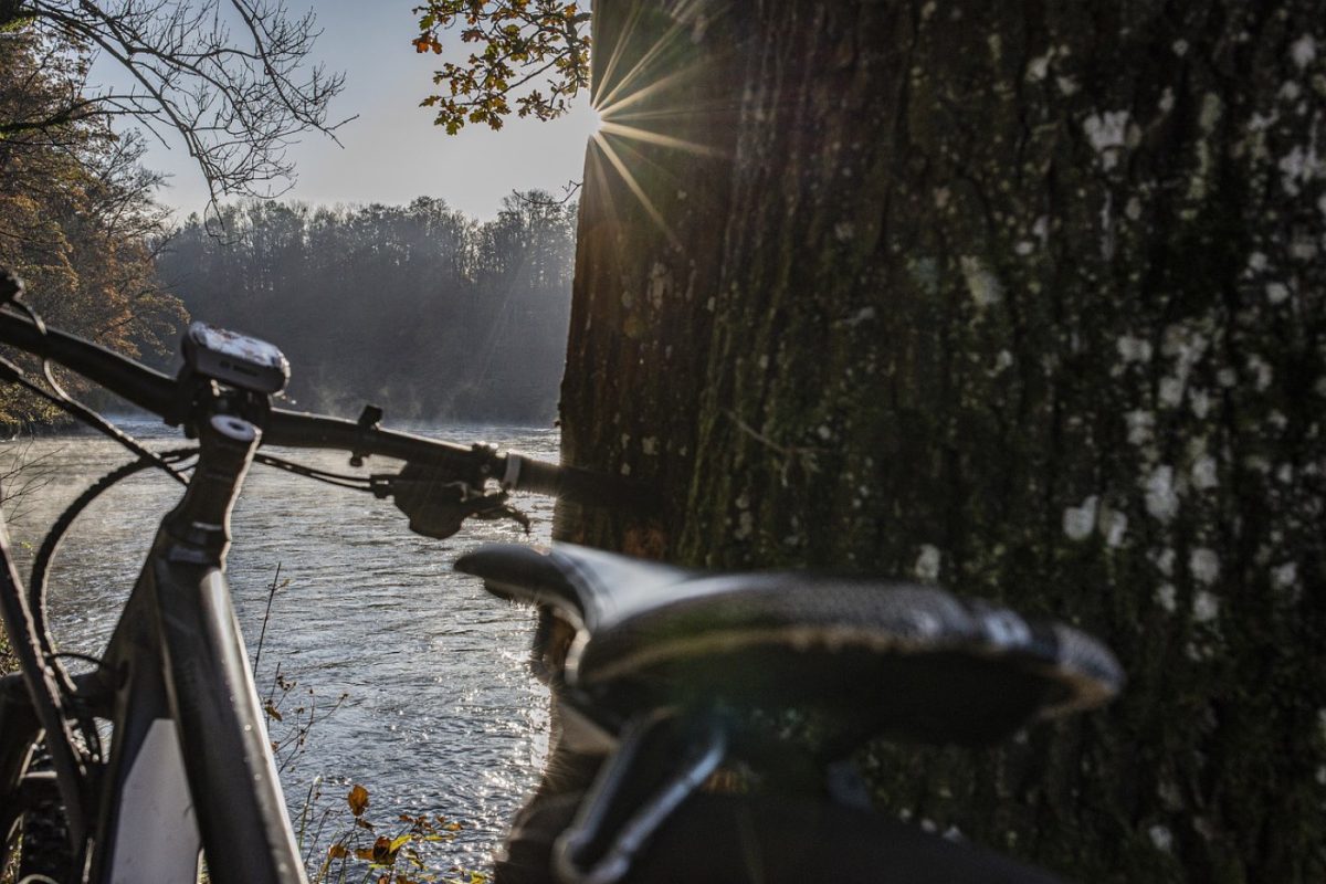 Vélos électriques : comparatif marques grand public vs premium