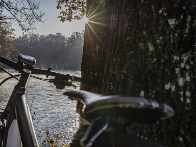 Vélos électriques : comparatif marques grand public vs premium
