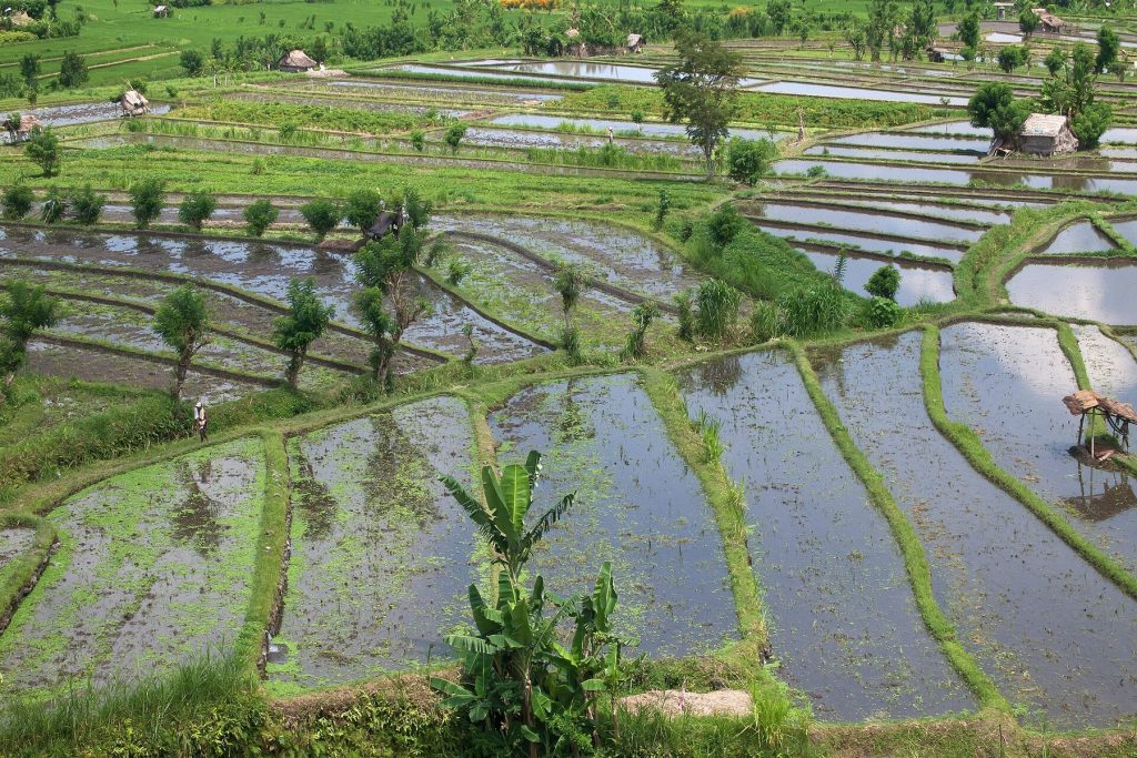 Itinéraire Bali 15 jours : trois parcours possibles