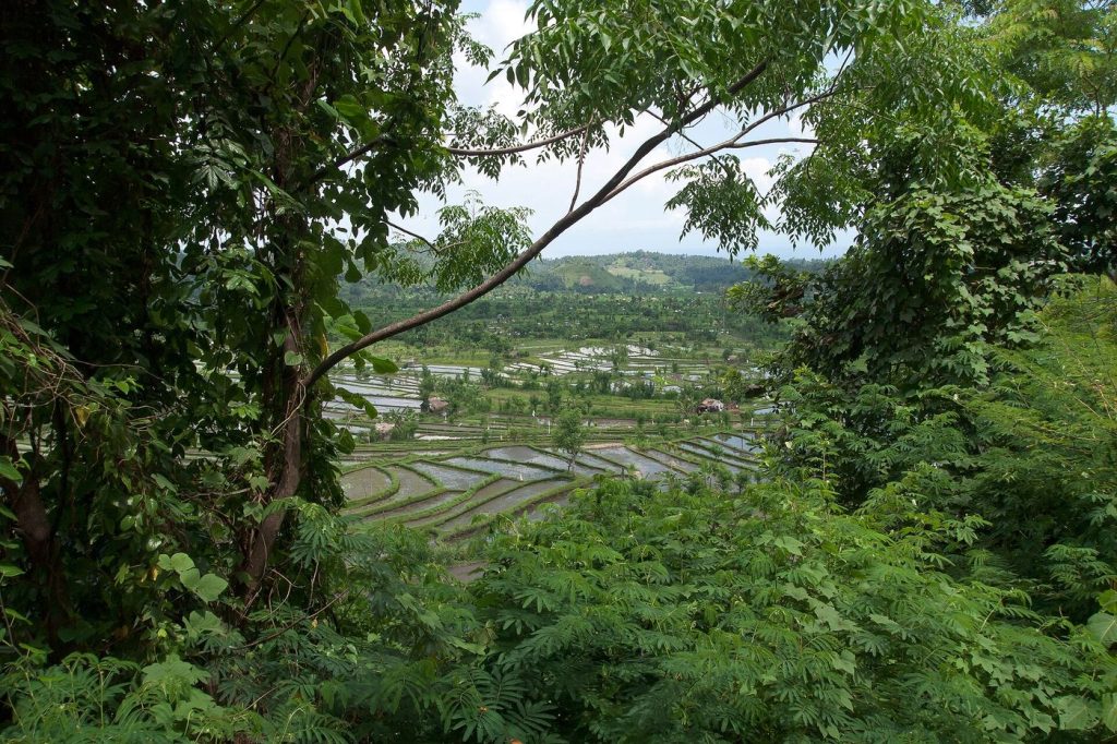 Les environs de Tirta Gangga, dans l’est de Bali