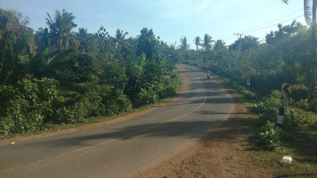 Route de campagne à Lombok, bordée de bananiers et de cocotiers, avec un scooter au loin.