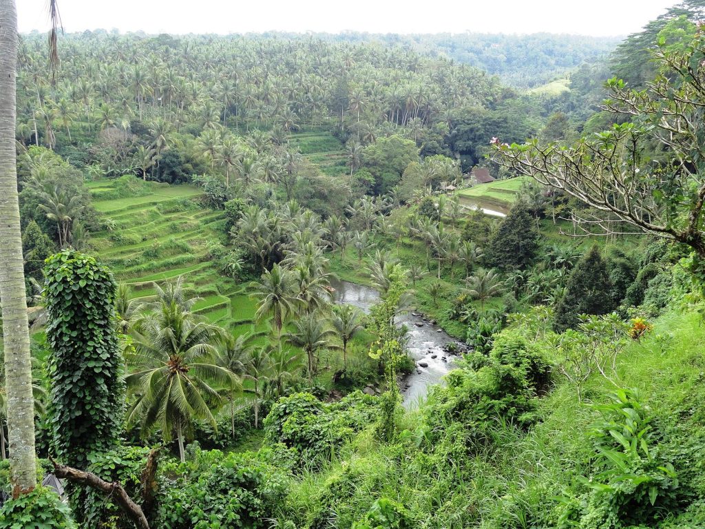 Lune de miel à Bali : où aller, quand partir, comment l’organiser