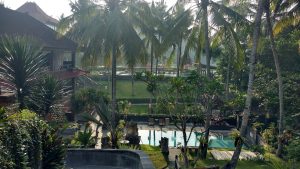 Un hôtel à Ubud, entre cocotiers et piscine