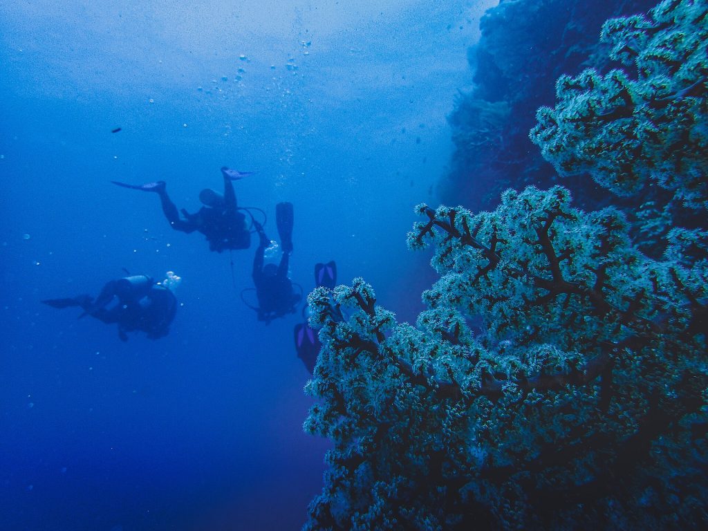 Plongeurs explorant un récif corallien au large de l'île de Menjangan, parc national de Bali Ouest