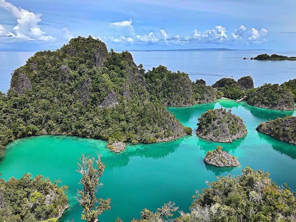 Les îlots karstiques de Piaynemo, à Raja Ampat