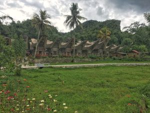 Sulawesi : le pays Toraja et les fonds de Bunaken depuis Bali