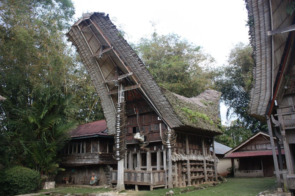 Maison traditionnelle tongkonan au toit en corne de buffle, village de Kete Kesu en pays Toraja, Sulawesi